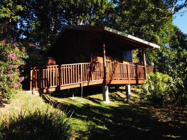 Cabanas San Gerardo Сан-Херардо-де-Дота Экстерьер фото